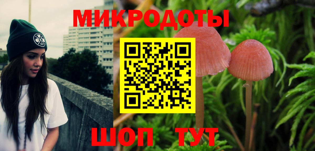 Галлюциногенные грибы MAGIC MUSHROOMS  Вход с VPN  Истра 